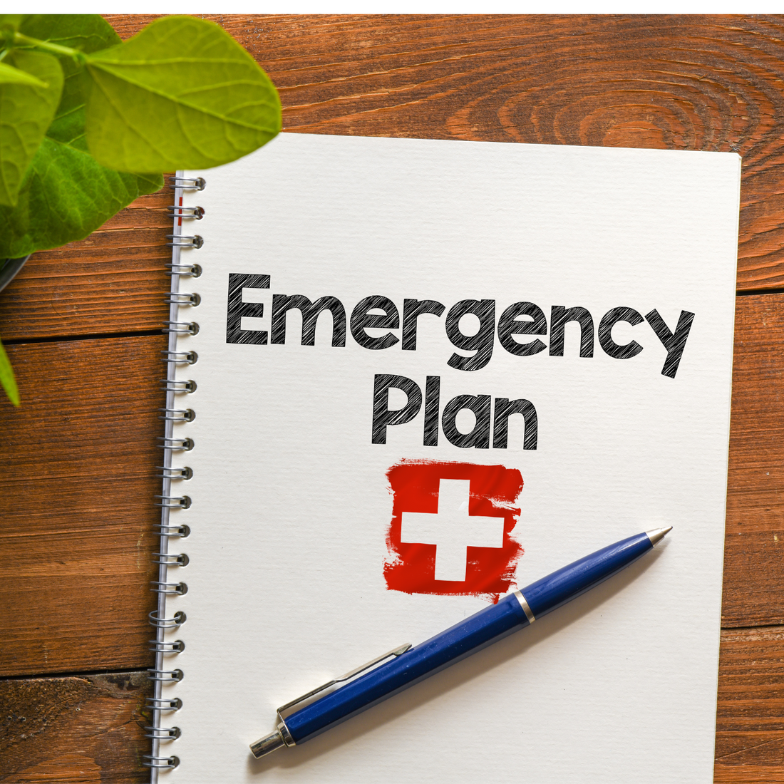 Is Your Family Prepared? The Ultimate Survival Checklist for Modern Emergencies