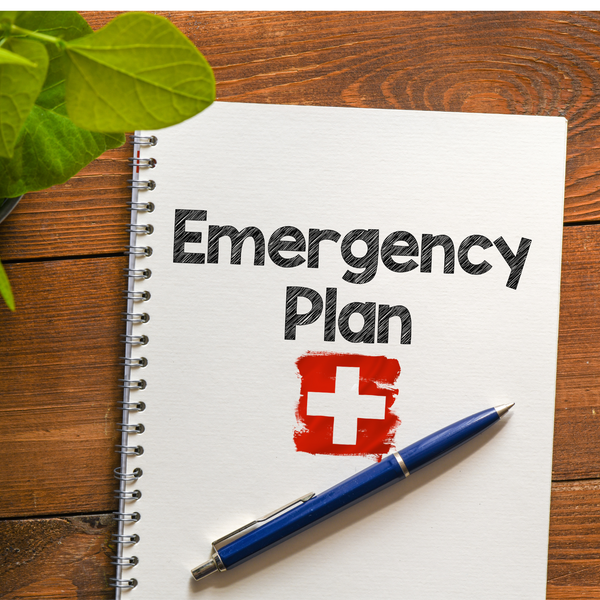 Is Your Family Prepared? The Ultimate Survival Checklist for Modern Emergencies